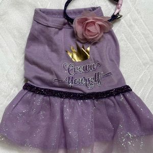 Top Paw Crown Yourself tee and Tull dress for female puppy/dog. Matching collar